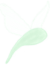 firefly