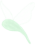 firefly1